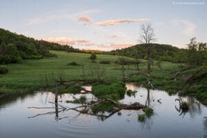 Beskid Niski Otoczenie bobrowisko