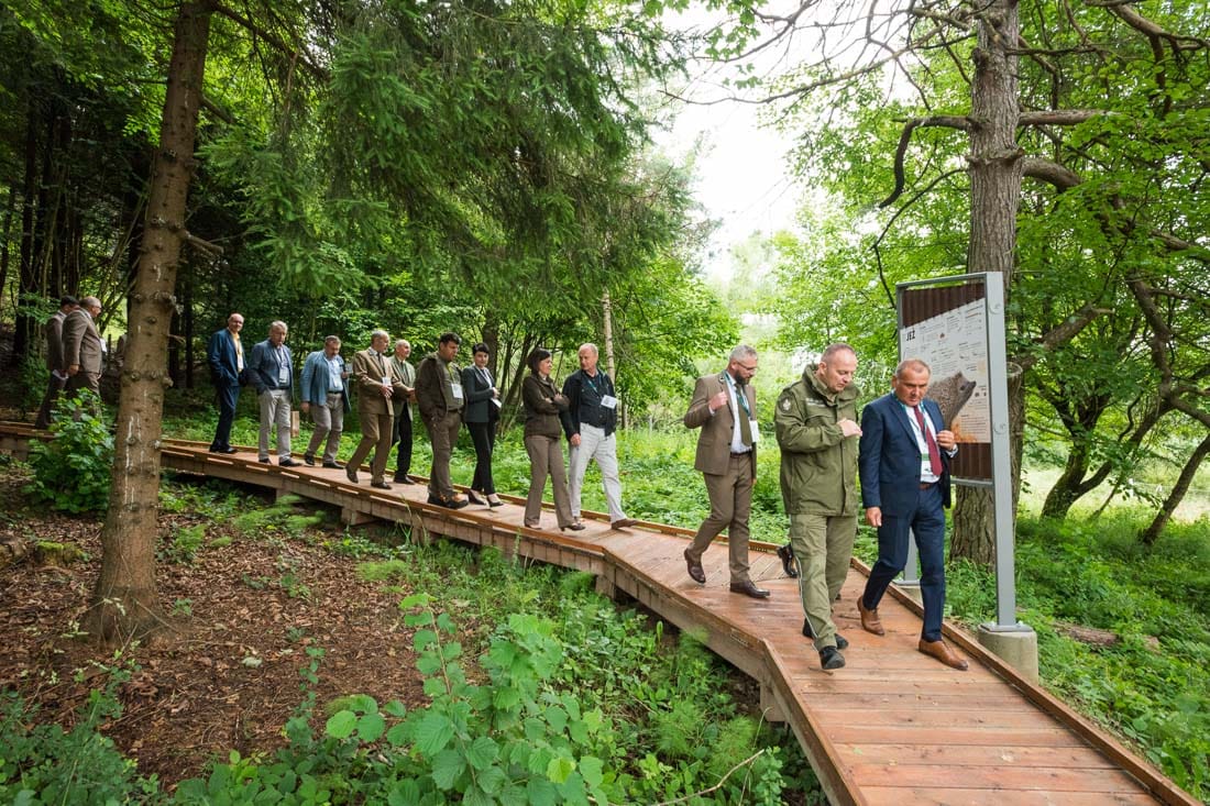 Ekopark Radocyna 78