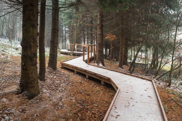 Ekopark Radocyna Ścieżka edukacyjna po drewnianych podestach las bez barier