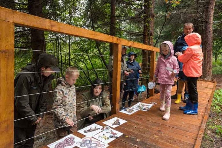 Zajęcia edukacyjne, fot. www.pan-foto.pl