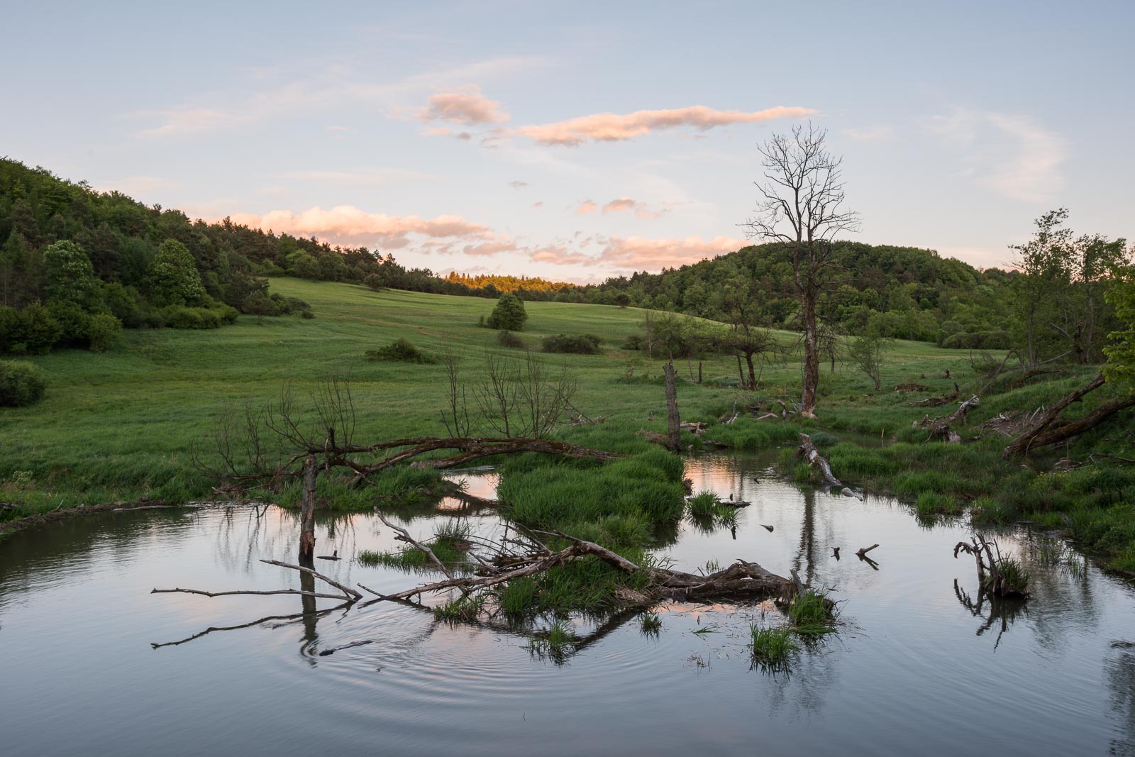 Ekopark Radocyna Bobrowisko