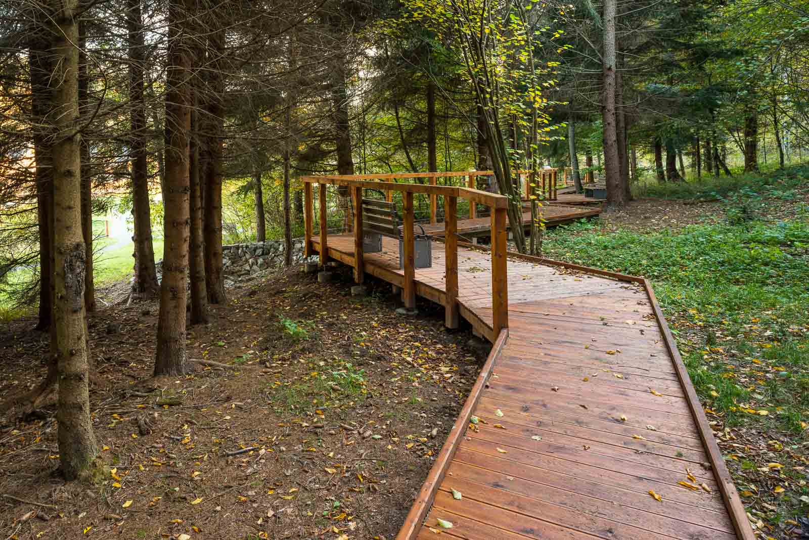 Ekopark Radocyna - strona główna 7 Ekopark Radocyna Ścieżka edukacyjna po drewnianych podestach las bez barier