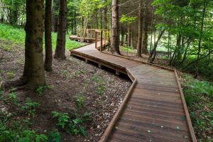 Ekopark Radocyna Ścieżka edukacyjna po drewnianych podestach las bez barier