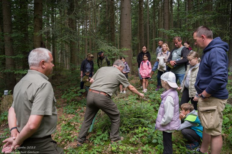 Leśna Przygoda 2025 sadzenie lasu