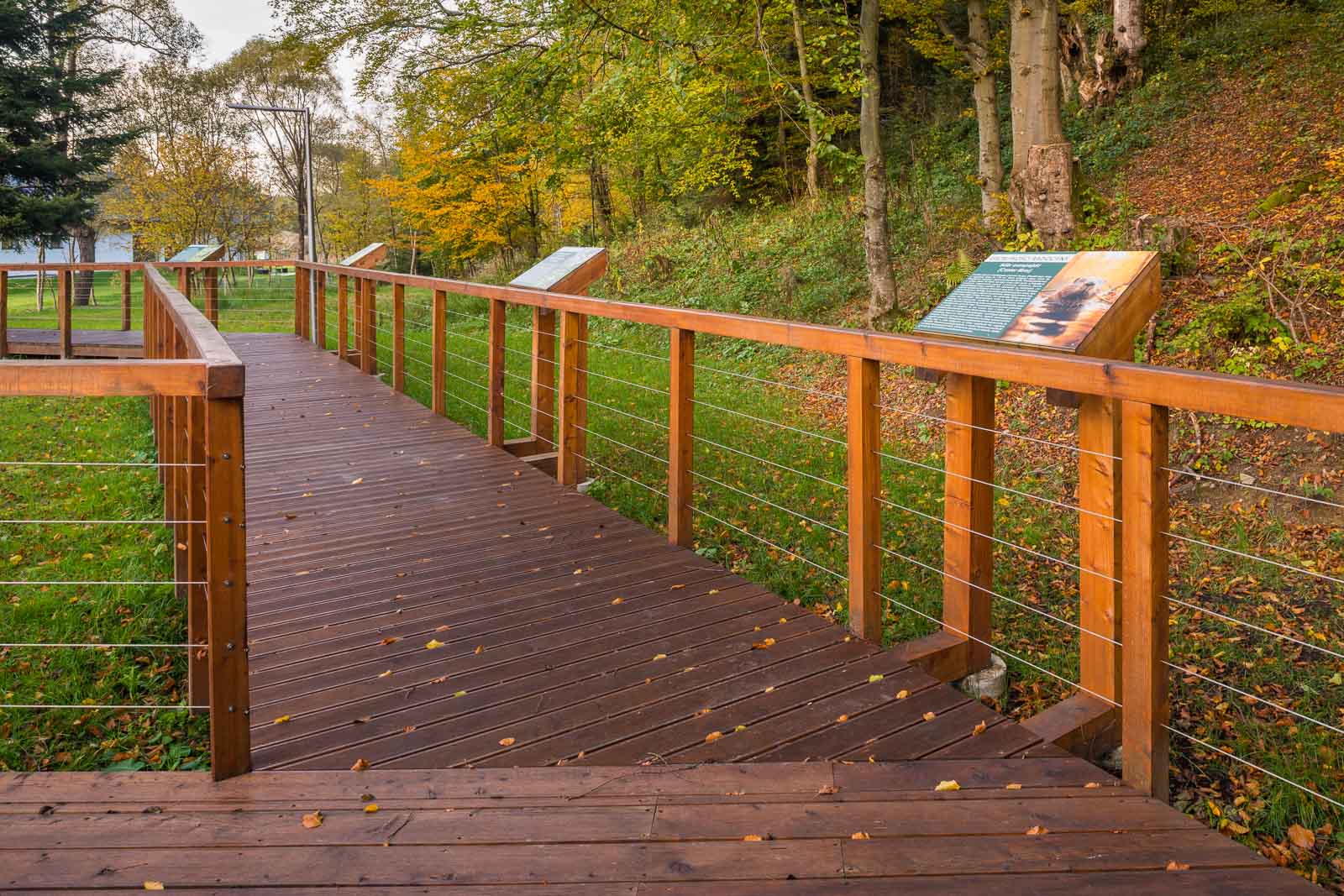 Ekopark Radocyna - strona główna 7 Ekopark Radocyna ścieżka edukacyjna
