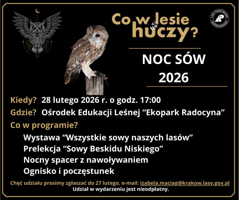 II Noc Sów w Radocynie