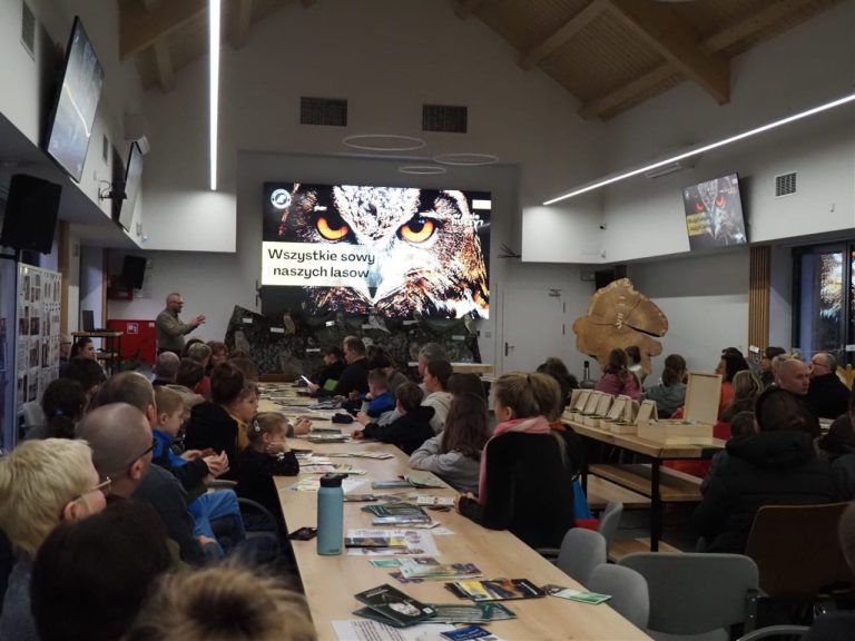 Noc Sów II OEL Radocyna